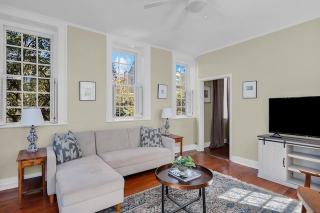 living room with crown molding, hardwood / wood-style floors, and ceiling fan