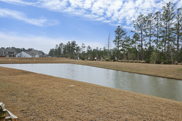 view of water feature