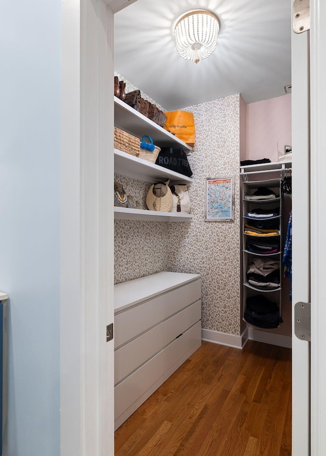 spacious closet with wood finished floors