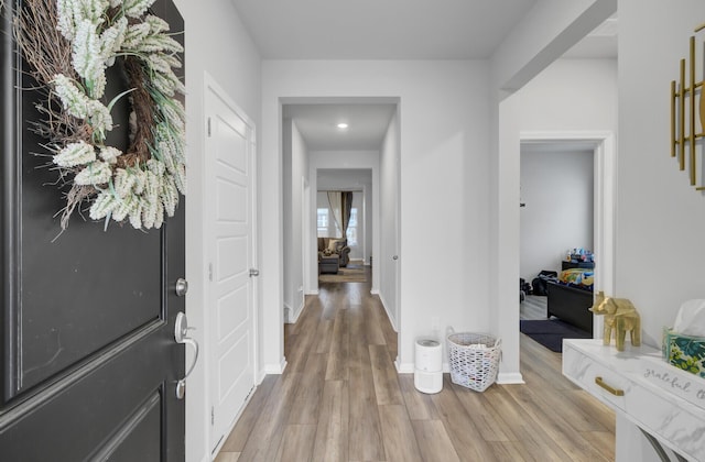 entrance foyer with light hardwood / wood-style floors