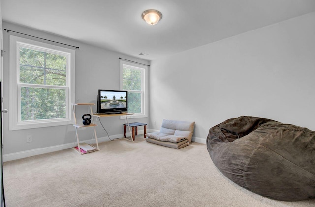 living area with carpet and a wealth of natural light