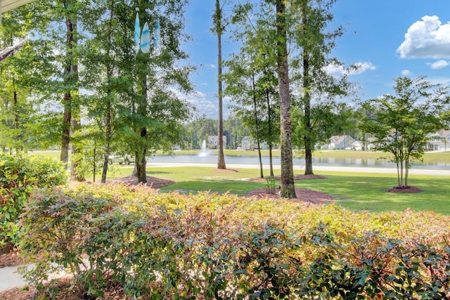 view of property's community with a yard and a water view