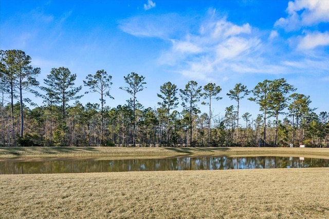 surrounding community with a yard and a water view