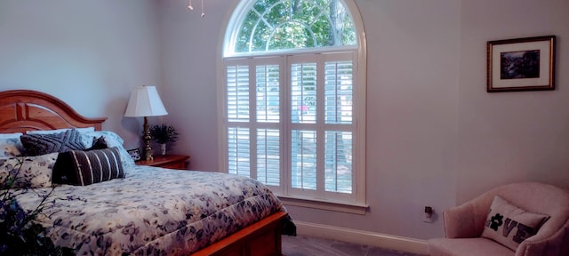 bedroom featuring carpet flooring