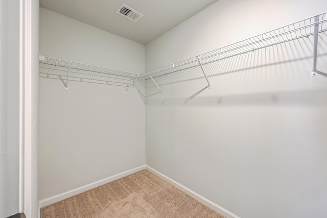 spacious closet featuring carpet