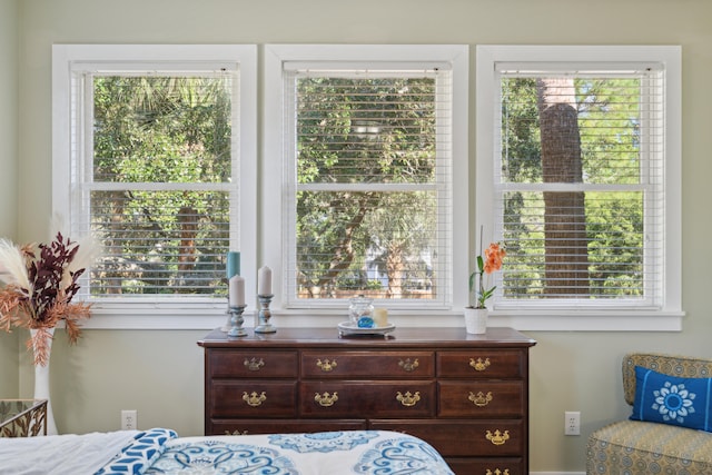 bedroom featuring multiple windows