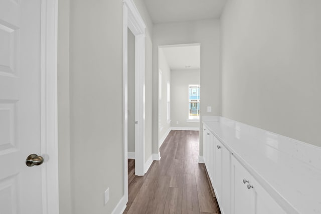 hallway featuring wood-type flooring