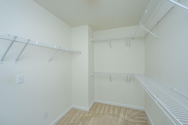 walk in closet featuring light colored carpet