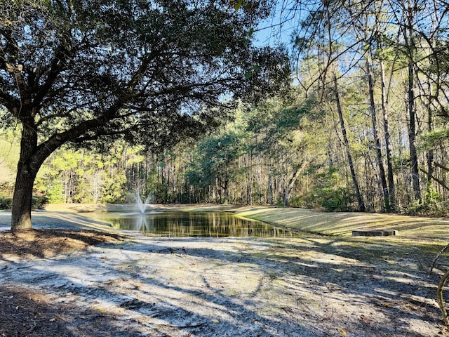 view of home's community with a water view