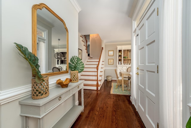 hallway with dark wood-type flooring, ornamental molding, and a chandelier