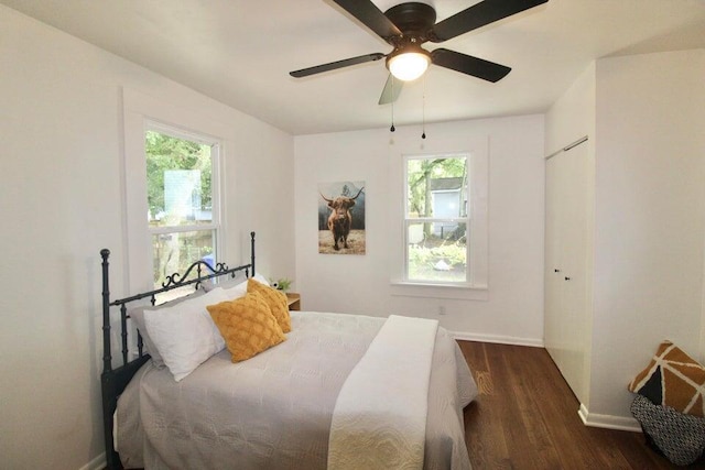 bedroom with ceiling fan, a closet, and dark hardwood / wood-style floors