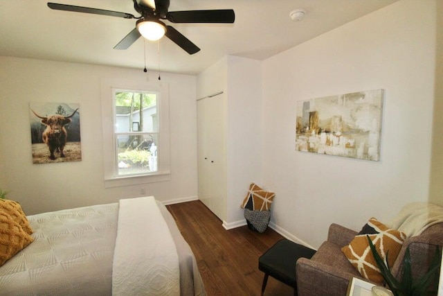 bedroom featuring ceiling fan, a closet, and dark hardwood / wood-style floors