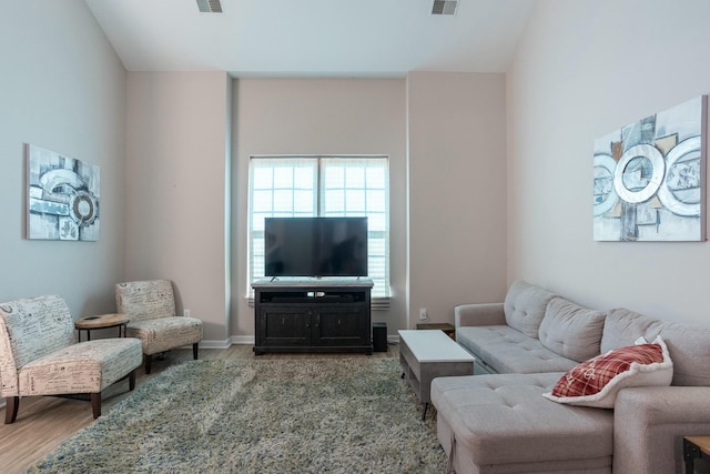 living room featuring wood-type flooring