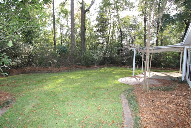 view of yard featuring a patio area