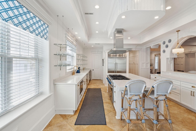 3 Cross Ln, Isle Of Palms, SC 29451 - kitchen featuring appliances with stainless steel finishes, crown molding, a tray ceiling, white cabinets, and a spacious island
