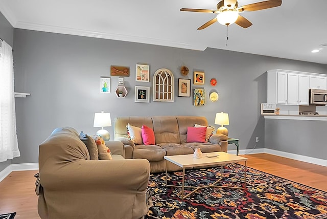 living room with light hardwood / wood-style floors, ceiling fan, and ornamental molding