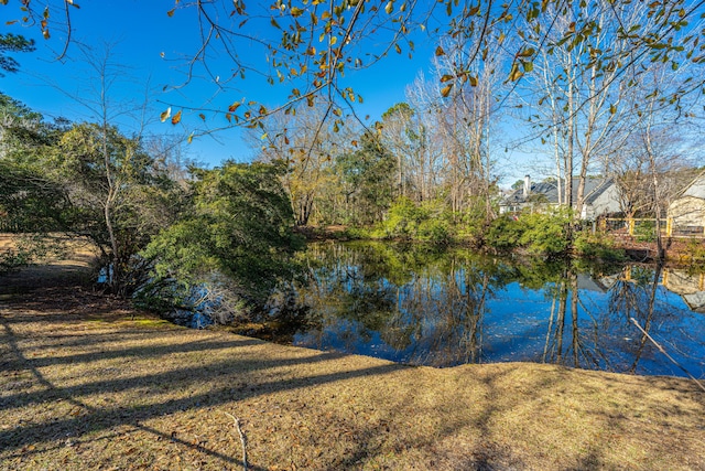 view of water feature