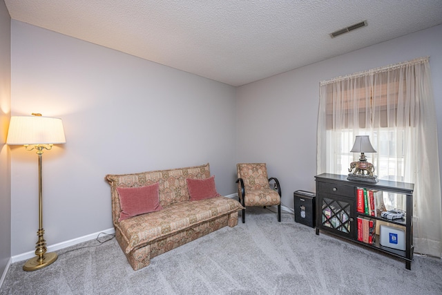 sitting room with carpet floors and a textured ceiling