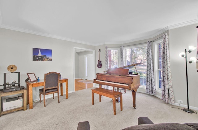 interior space with light carpet and ornamental molding