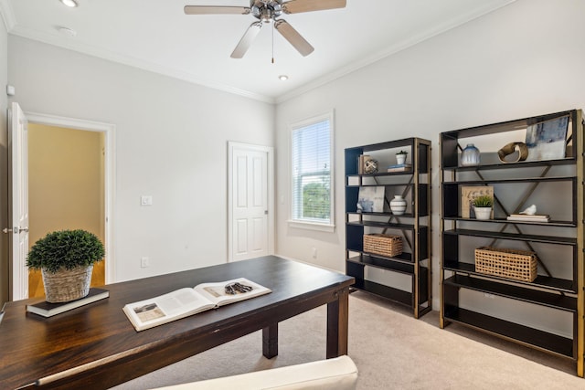 home office with ceiling fan, ornamental molding, and carpet floors