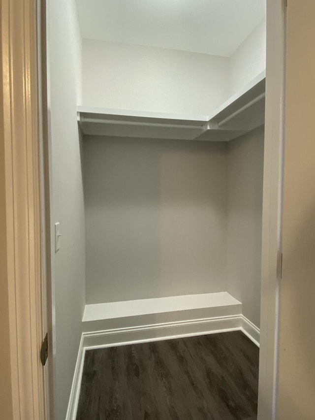 walk in closet featuring dark wood-type flooring