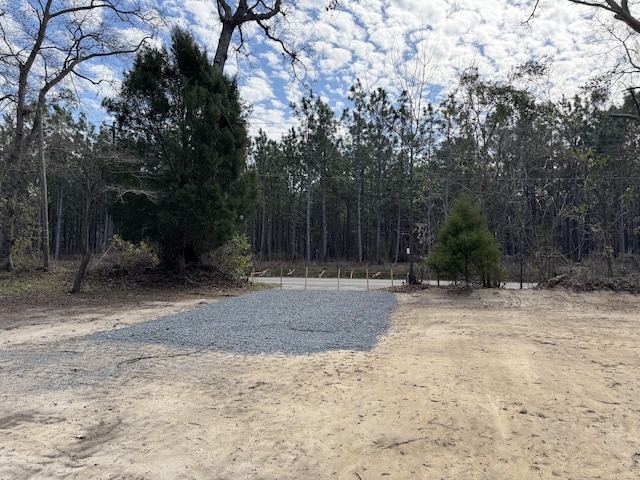 view of yard featuring a forest view