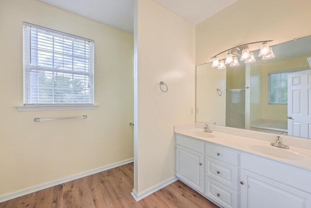 bathroom with wood finished floors, a sink, baseboards, and double vanity