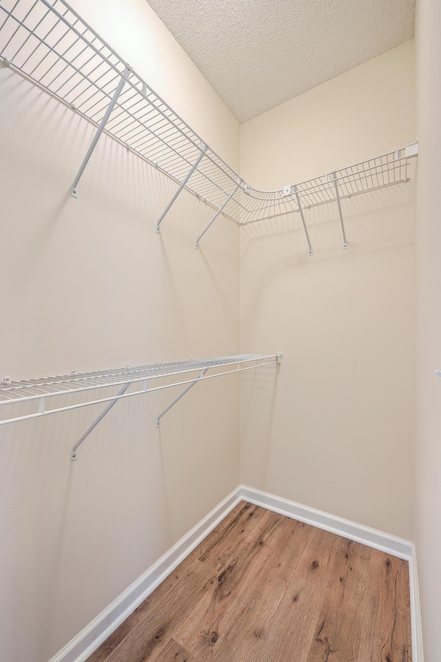 spacious closet with wood finished floors