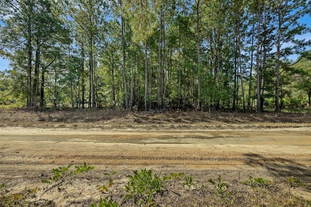 0 New Bridge Rd, Nichols SC, 29581 land for sale