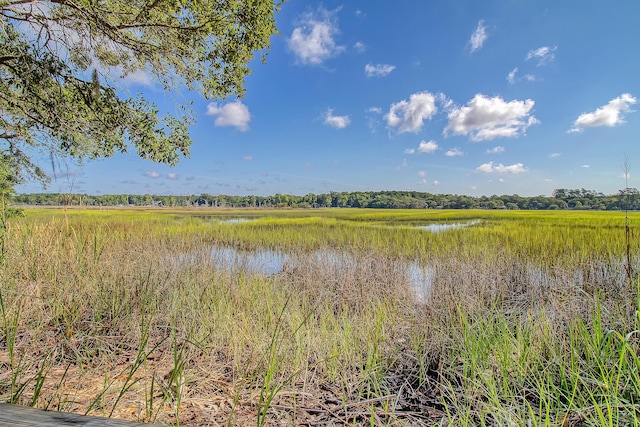 5084 Timber Race Crse, Hollywood, SC 29449 - water view
