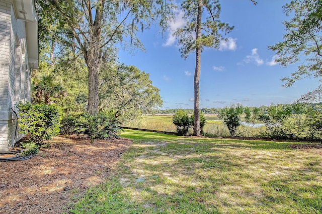 5084 Timber Race Crse, Hollywood, SC 29449 - view of green lawn