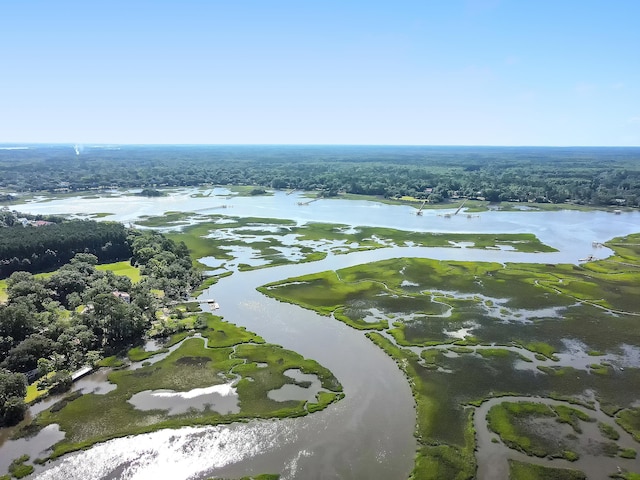5084 Timber Race Crse, Hollywood, SC 29449 - view of property location featuring a large body of water and a forest