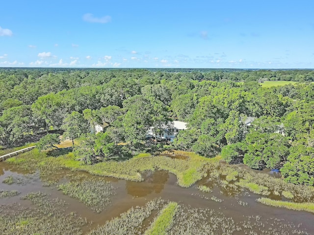 5084 Timber Race Crse, Hollywood, SC 29449 - aerial view of property's location featuring a forest and a nearby body of water