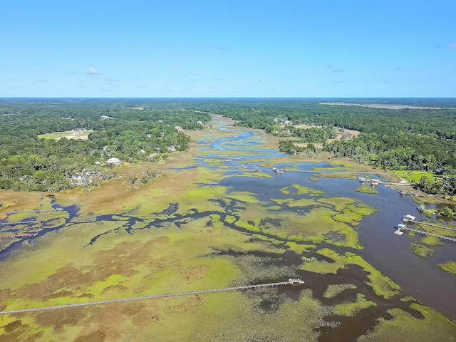 5084 Timber Race Crse, Hollywood, SC 29449 - aerial view of a forest and a nearby body of water