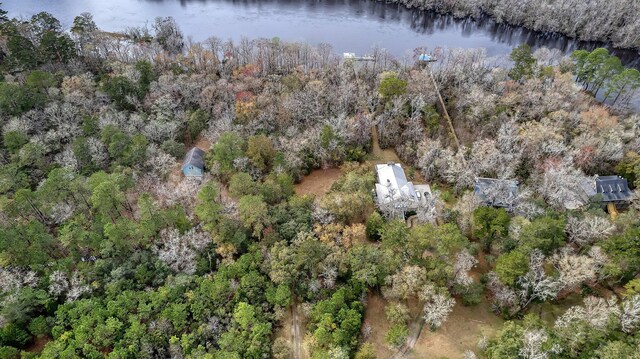 8 Savannah Hwy, Adams Run, SC 29426