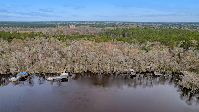 8 Savannah Hwy, Adams Run, SC 29426