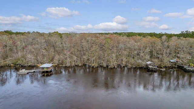 8 Savannah Hwy, Adams Run, SC 29426
