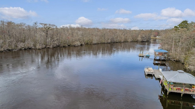 8 Savannah Hwy, Adams Run, SC 29426