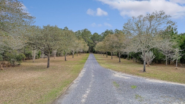 8 Savannah Hwy, Adams Run, SC 29426
