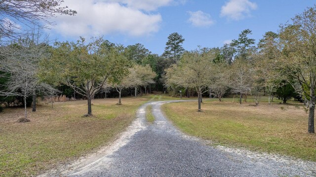 8 Savannah Hwy, Adams Run, SC 29426