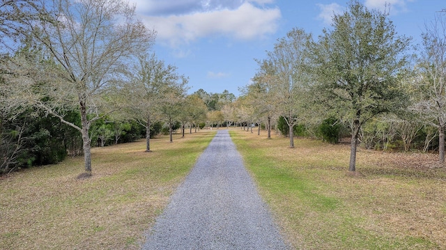 8 Savannah Hwy, Adams Run, SC 29426