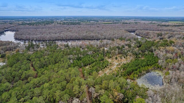 8 Savannah Hwy, Adams Run, SC 29426