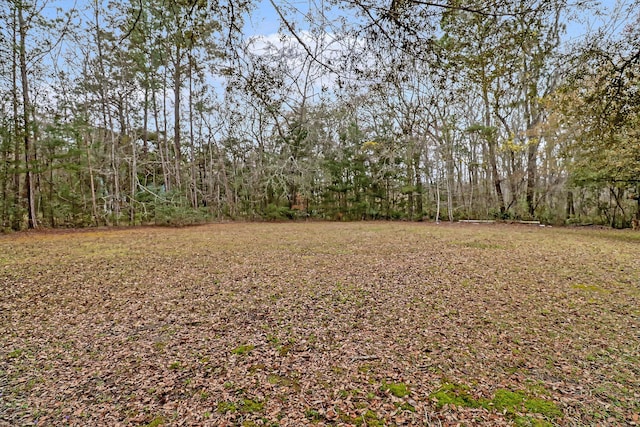 8 Savannah Hwy, Adams Run, SC 29426