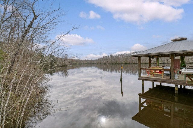 8 Savannah Hwy, Adams Run, SC 29426