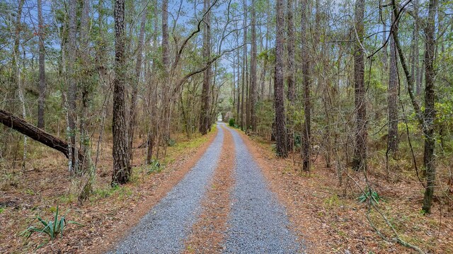 8 Savannah Hwy, Adams Run, SC 29426
