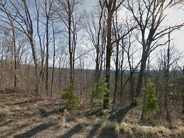 821 Raven Rd, Landrum, SC 29356