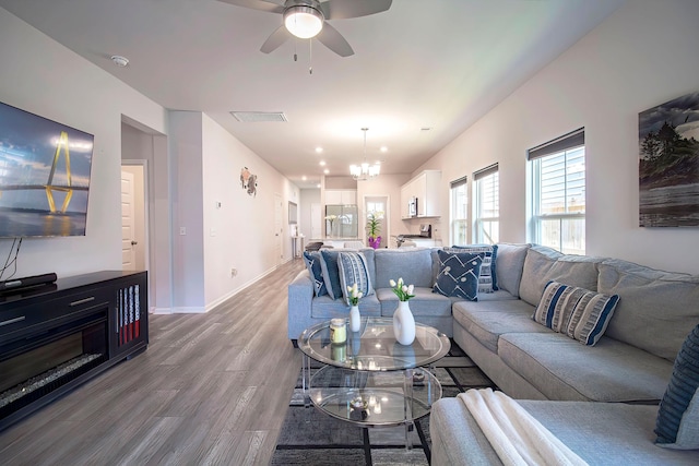 living area featuring ceiling fan with notable chandelier, baseboards, visible vents, and wood finished floors