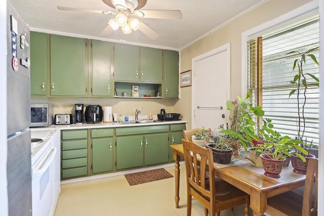 2703 Phyllis St, North Charleston, SC 29405 - kitchen with appliances with stainless steel finishes, a sink, ornamental molding, ceiling fan, and light countertops
