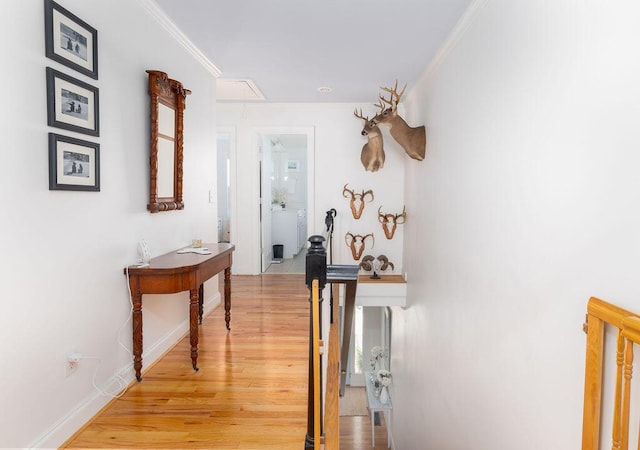 corridor with light wood finished floors, ornamental molding, attic access, and baseboards