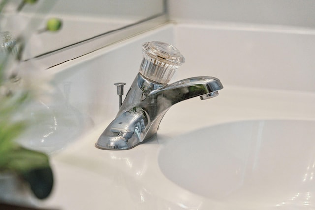 interior details featuring sink